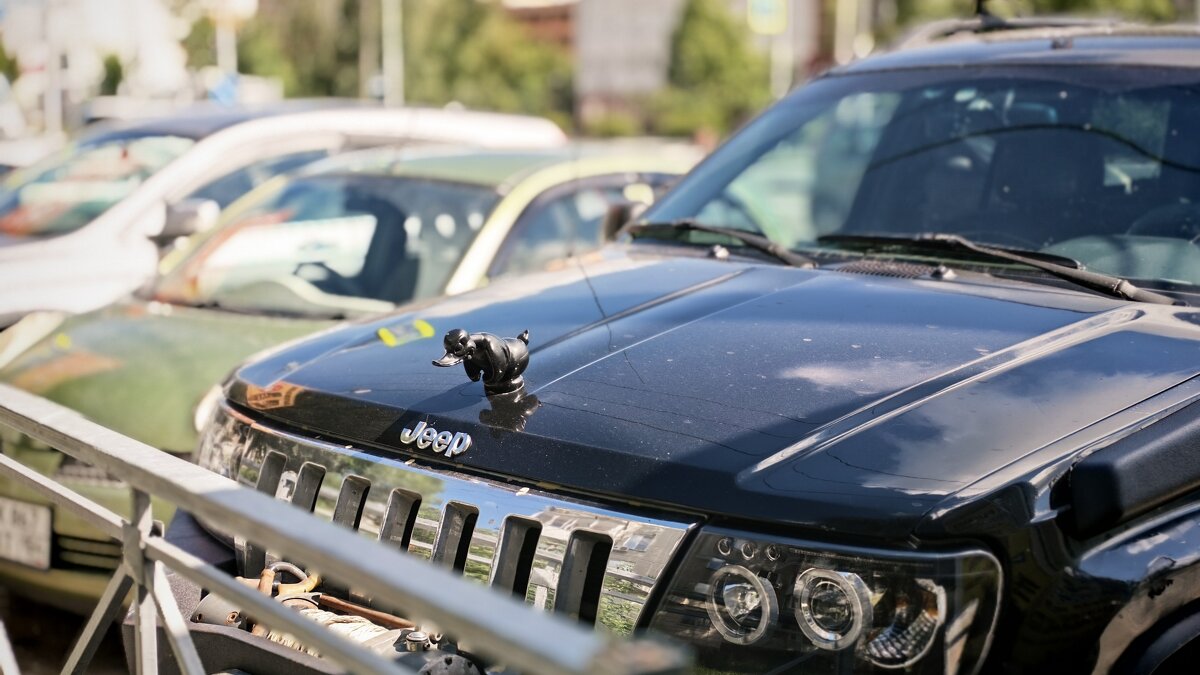 Авто для Дональда - Dmitry i Mary S Авто для Дональда - Dmitry i Mary S