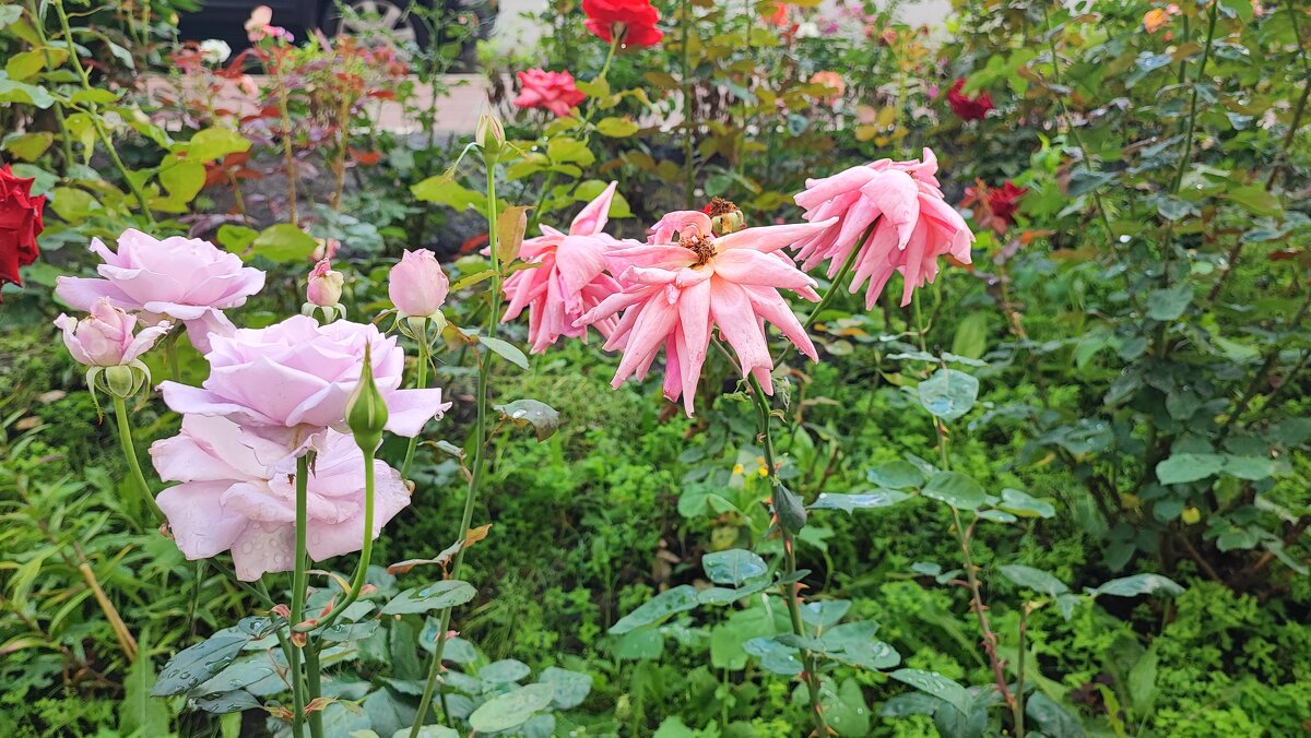 ,,, - Сергей Тимоновский