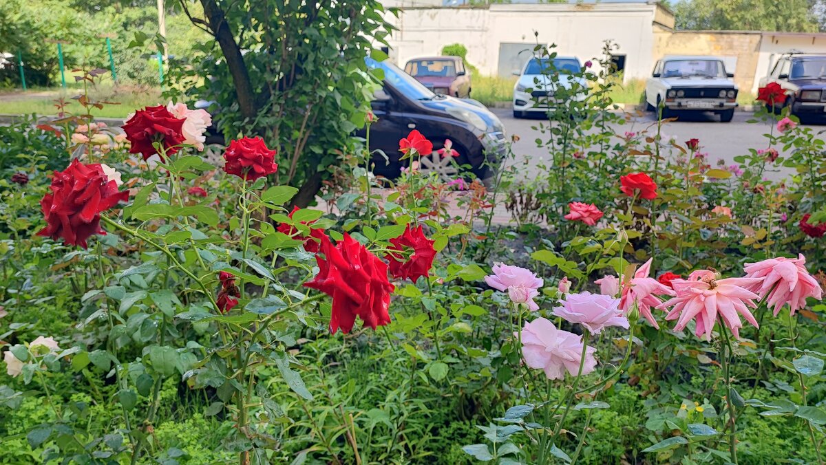 ,,, - Сергей Тимоновский