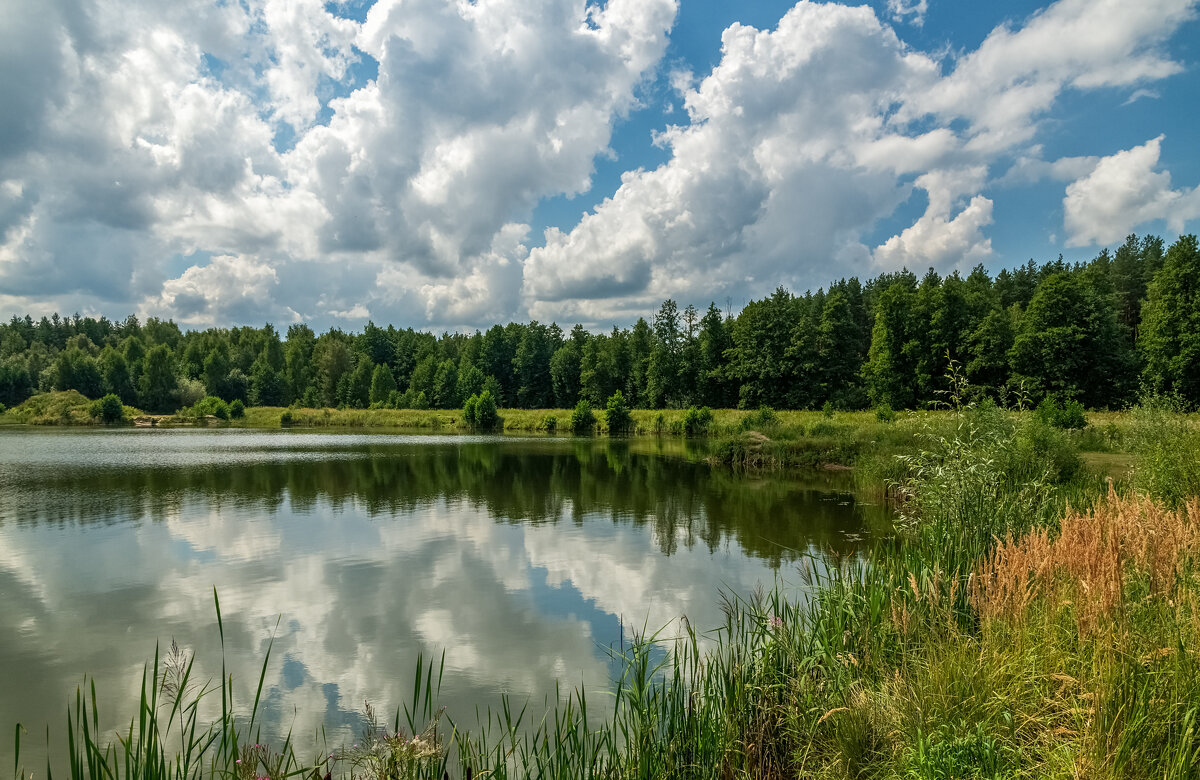Утро третьего Августа 4 - Андрей Дворников Утро третьего Августа 4 - Андрей Дворников