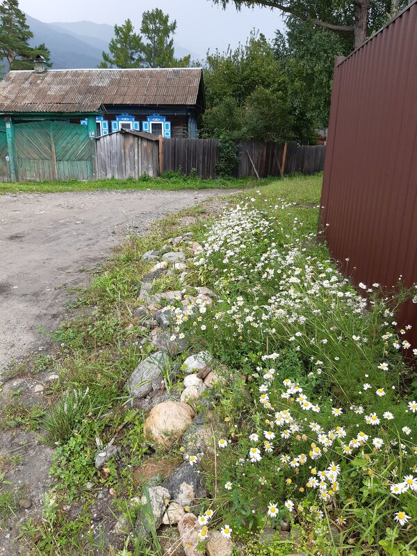 Конец июля - тоже середина лета - Галина Минчук