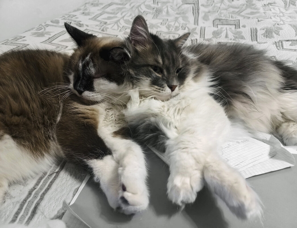 Взаимозаменяемость - LudMila 