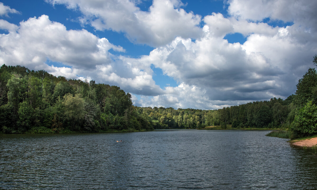 *** - Владимир Безбородов
