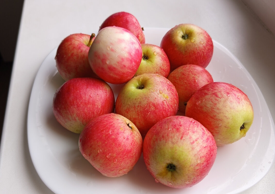 Первые яблоки этого года! - Алена Первые яблоки этого года! - Алена