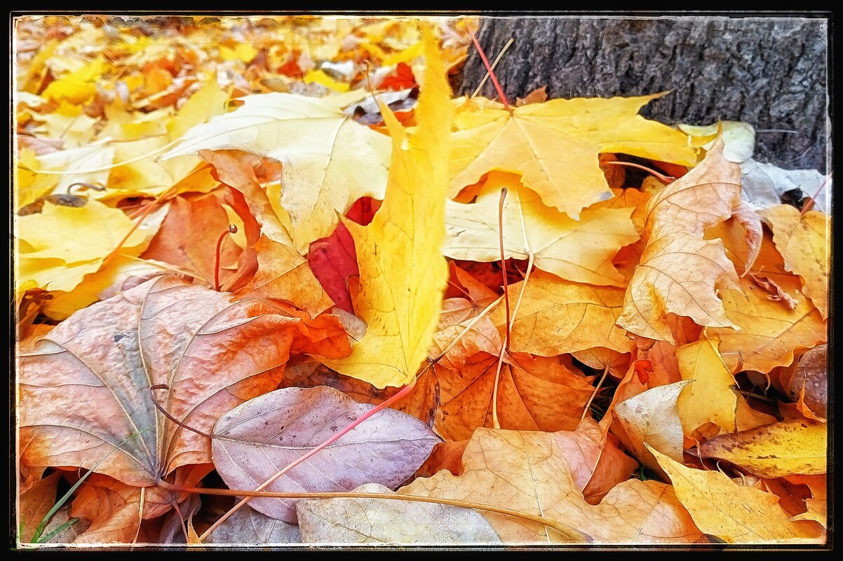 ... нападало ... - Руслан 