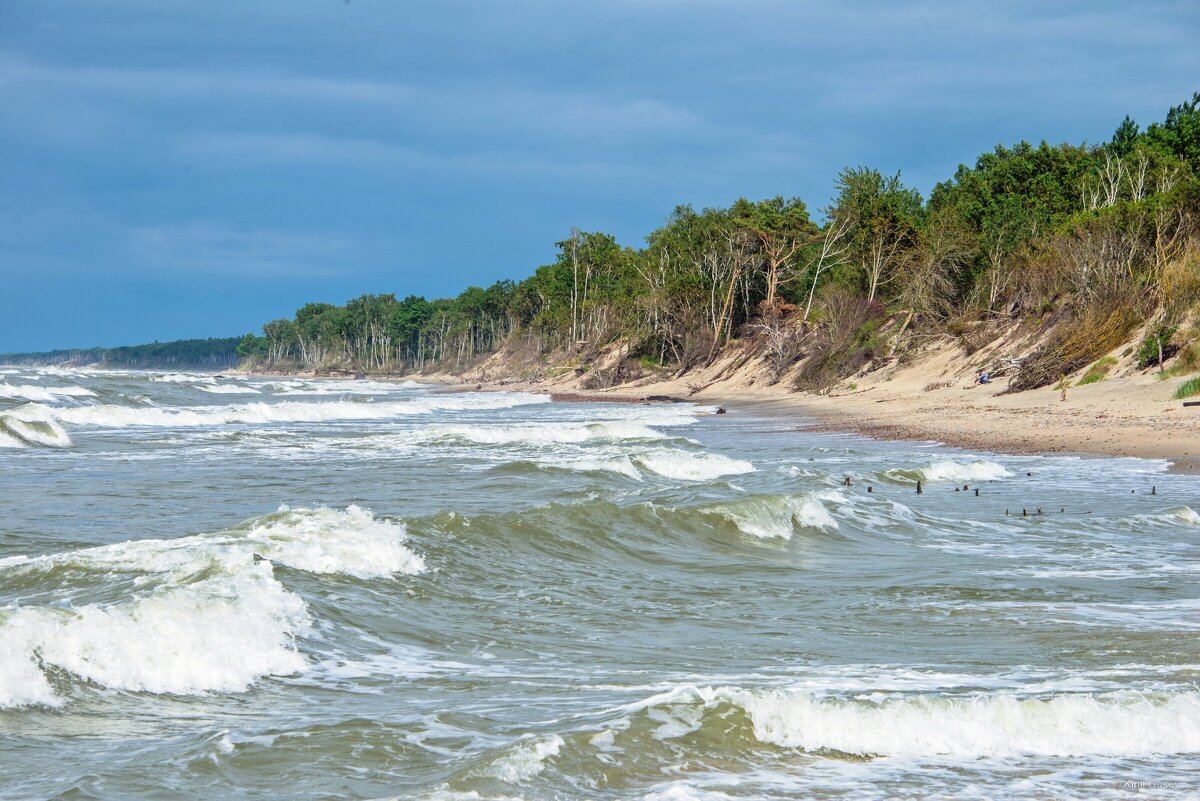 Просто посмотри ... - Kirill 