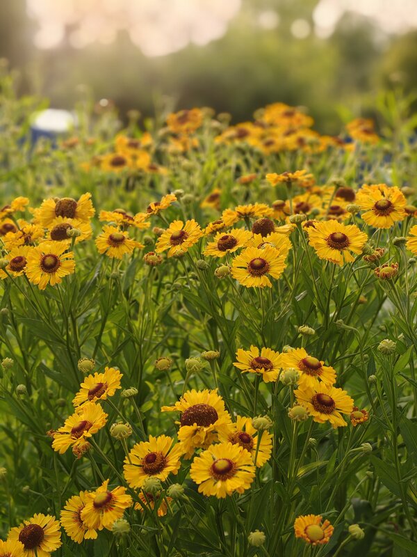 Лето - Андрей 