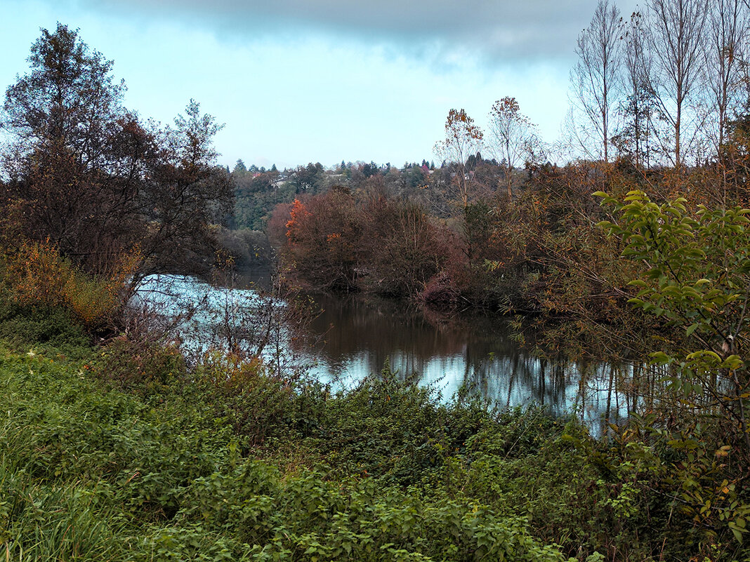 ------------------ - igor G.