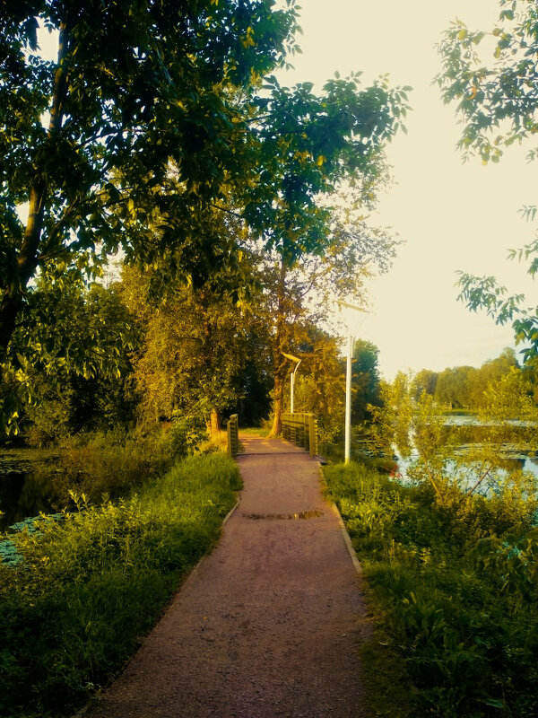 Летний вечер - Сергей Кочнев