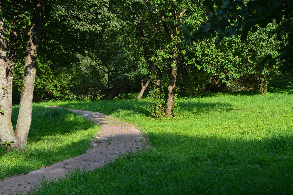 Уголок парка - Александр Буянов