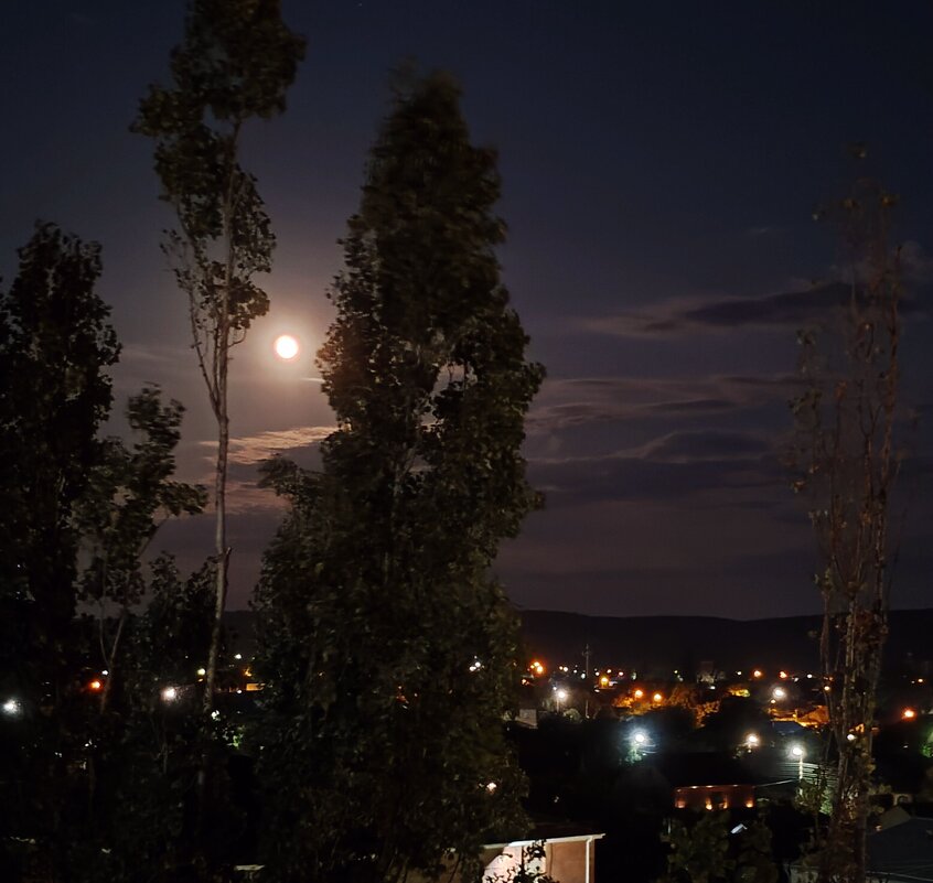 Ночь...Луна...Огни города... - tatyana 