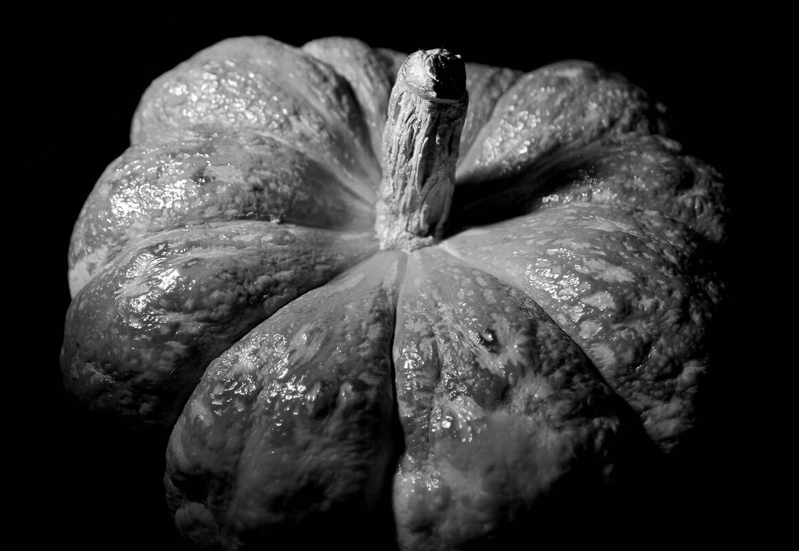 Тыква мужского рода - Олегъ Петрович