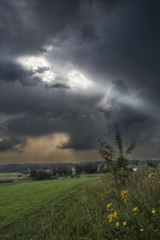 Пробился - Владимир 