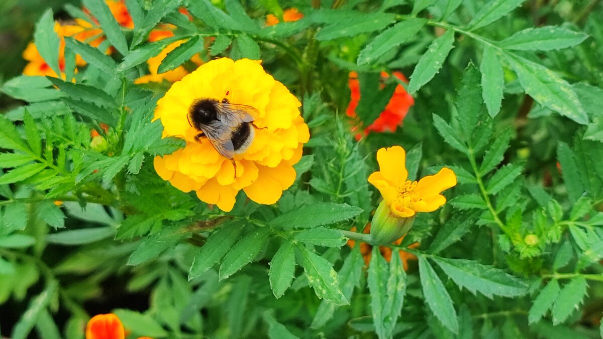 ,,, - Сергей Тимоновский