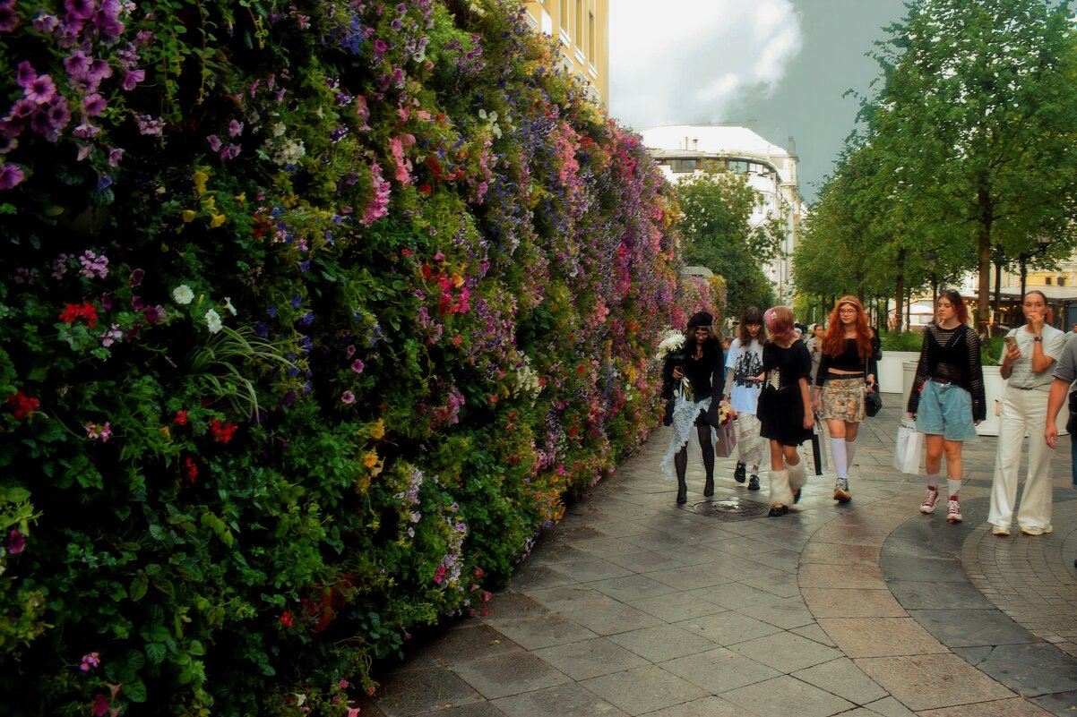 "Живая" стена из петуний. - Татьяна Помогалова "Живая" стена из петуний. - Татьяна Помогалова