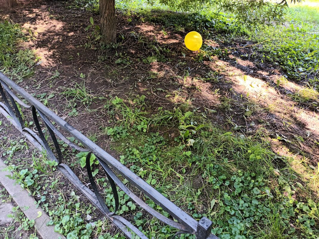 ПРОШАРИК - Виктор Никитенко