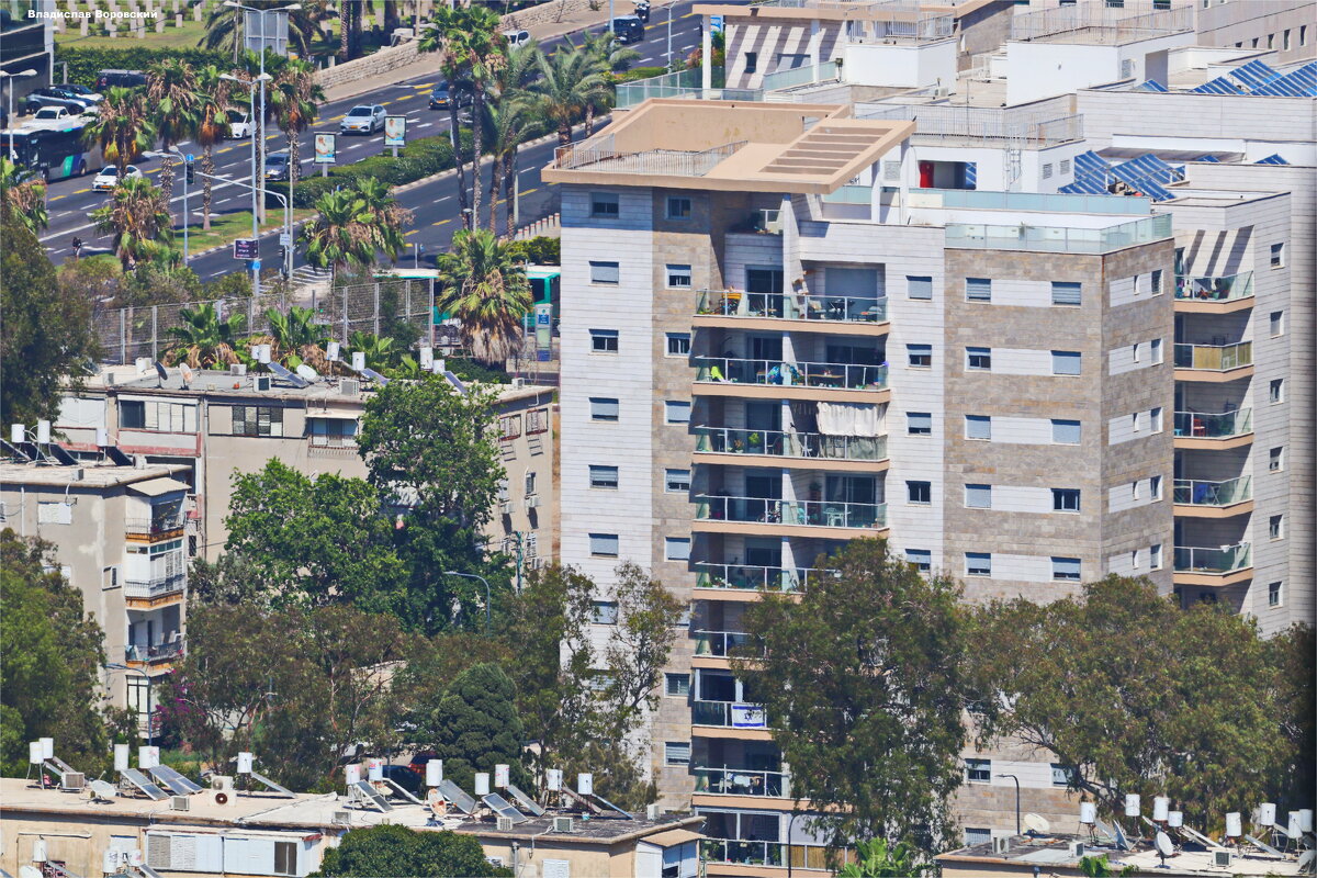 Хайфа 2025 - Владислав Воровский 