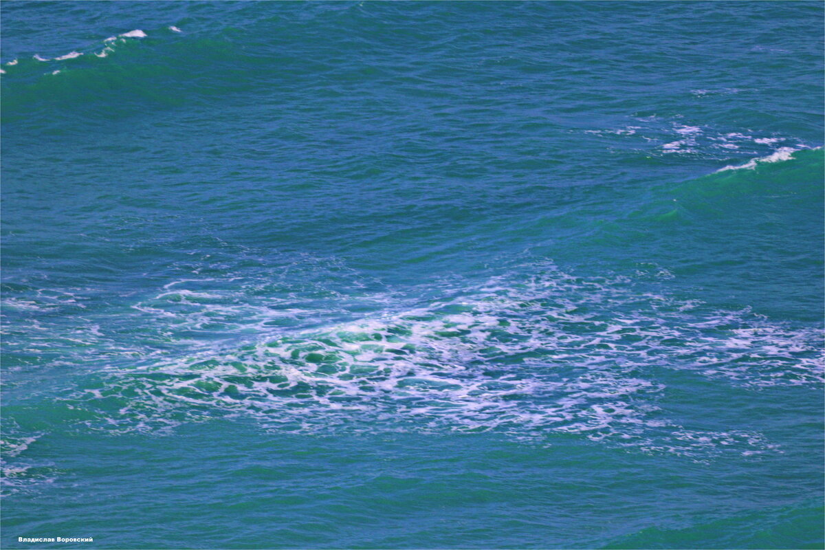 Хайфа 2025 - Владислав Воровский 