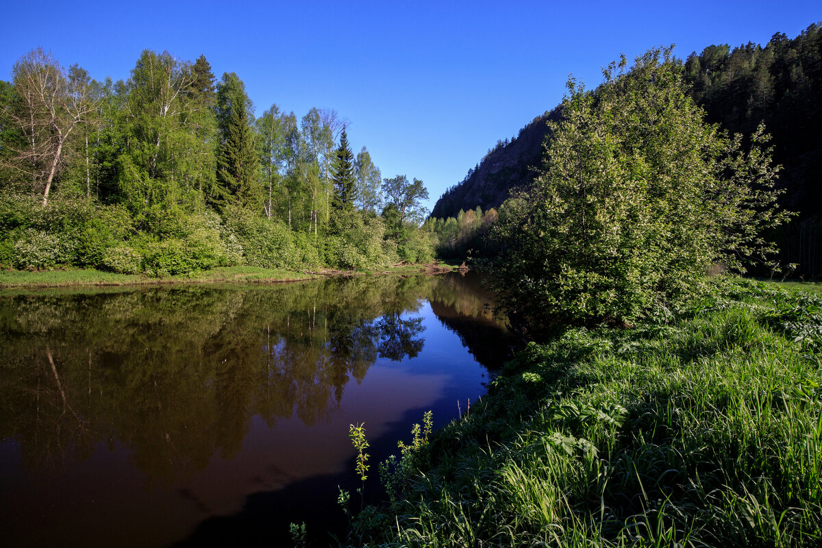 Тихое утро мая. - Юрий кот