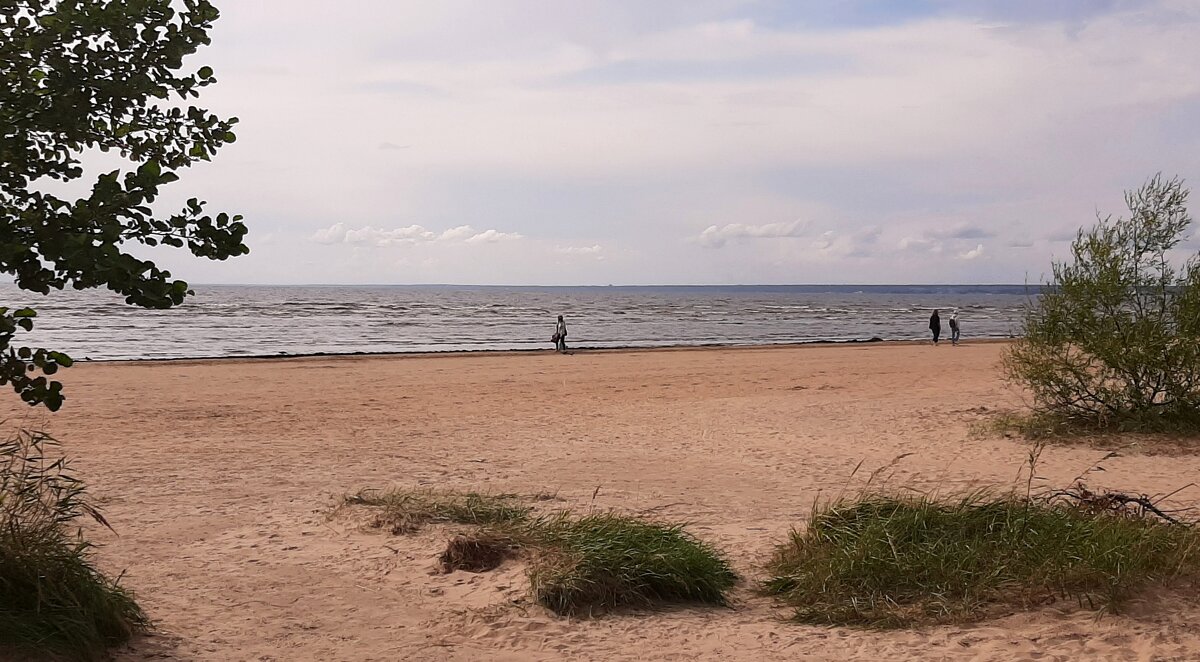 *** - Наталья Герасимова