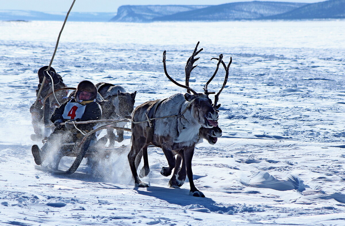 Упорная борьба на дистанции - Александр Велигура
