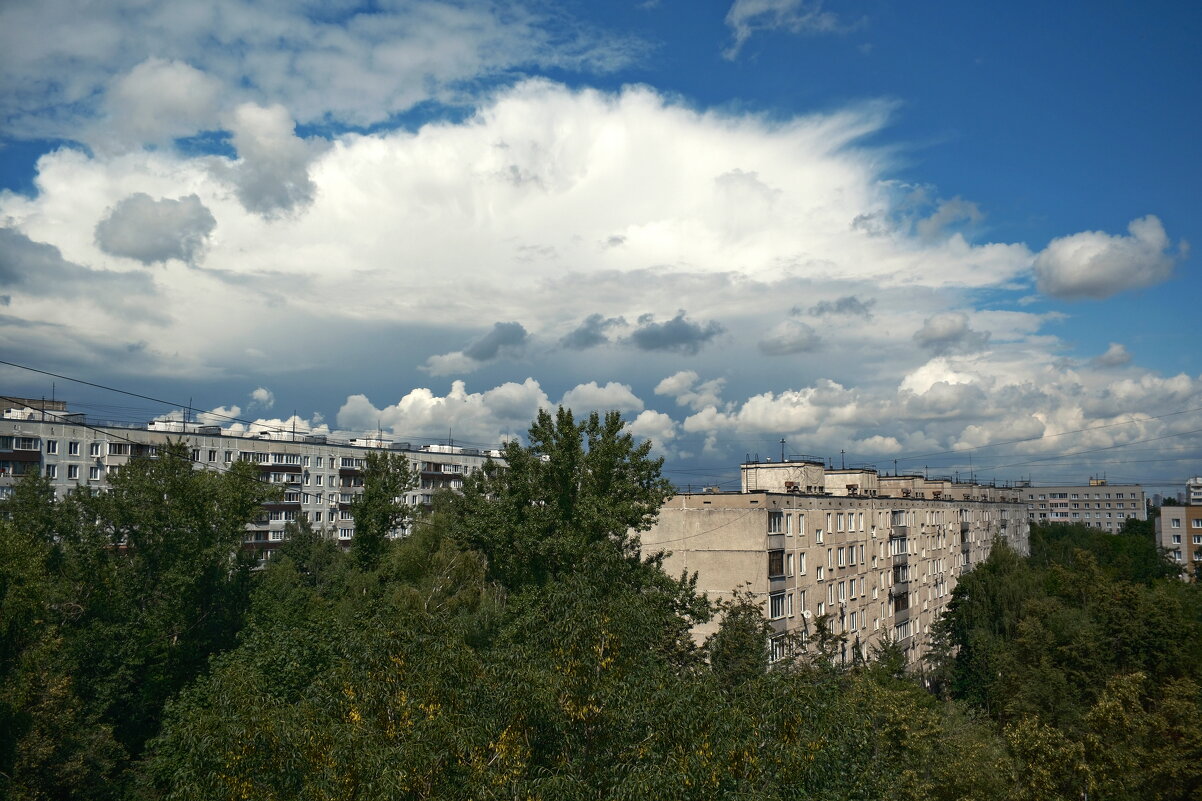 Что-то намечается... - Лютый Дровосек Что-то намечается... - Лютый Дровосек