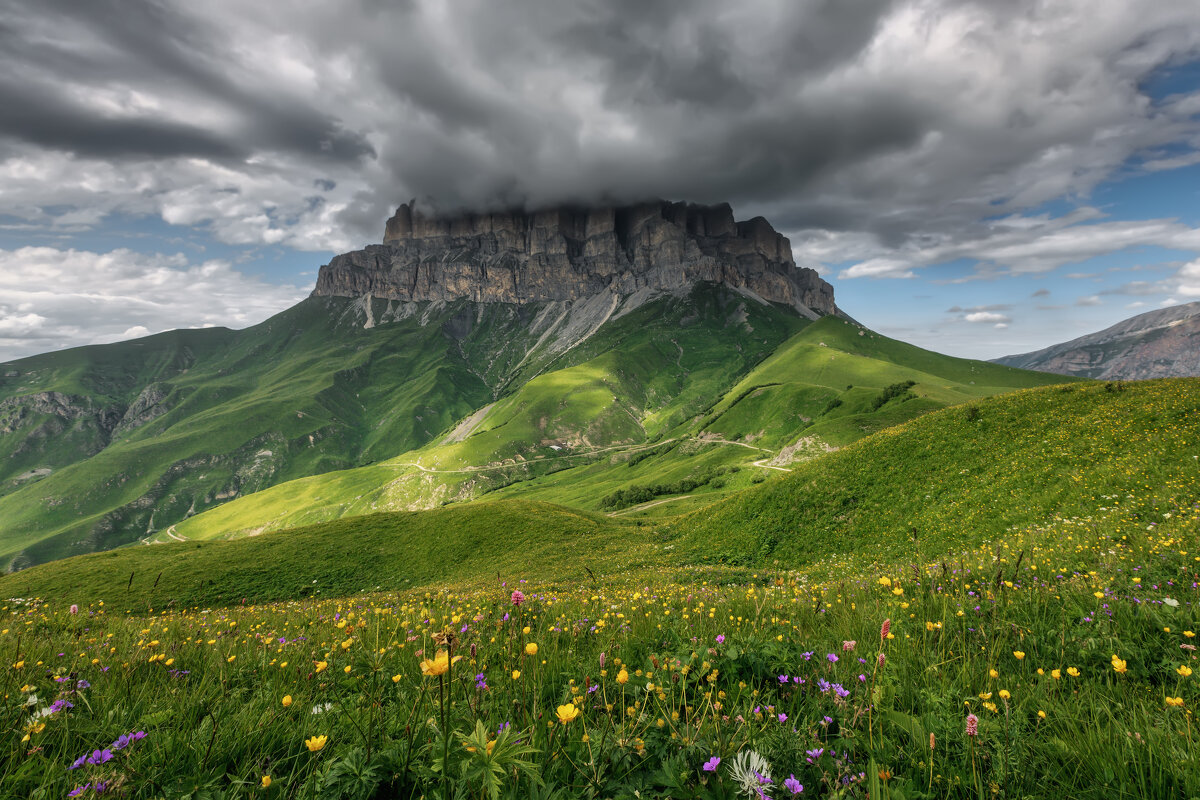 Цветение Кавказа - Владимир Колесников