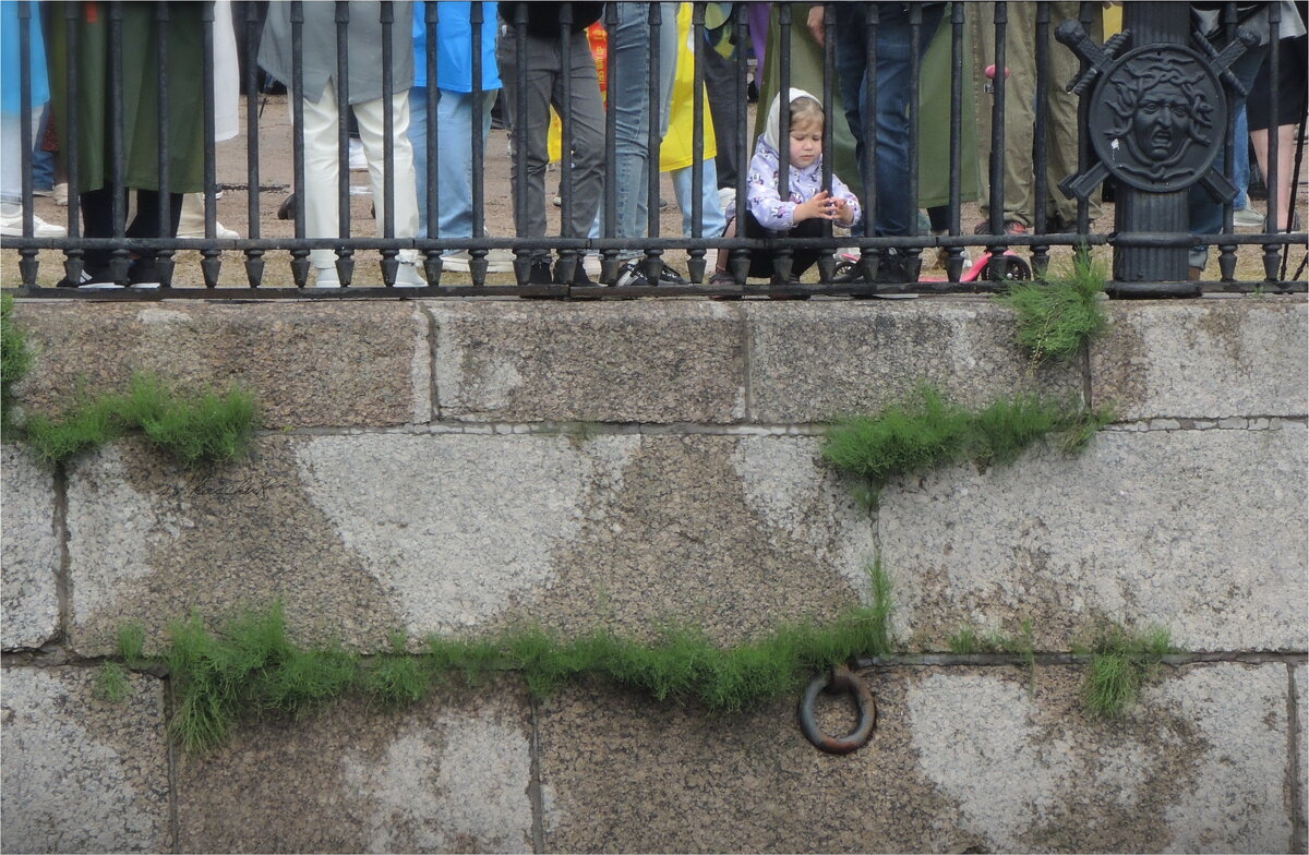 печаль моя - sv.kaschuk 