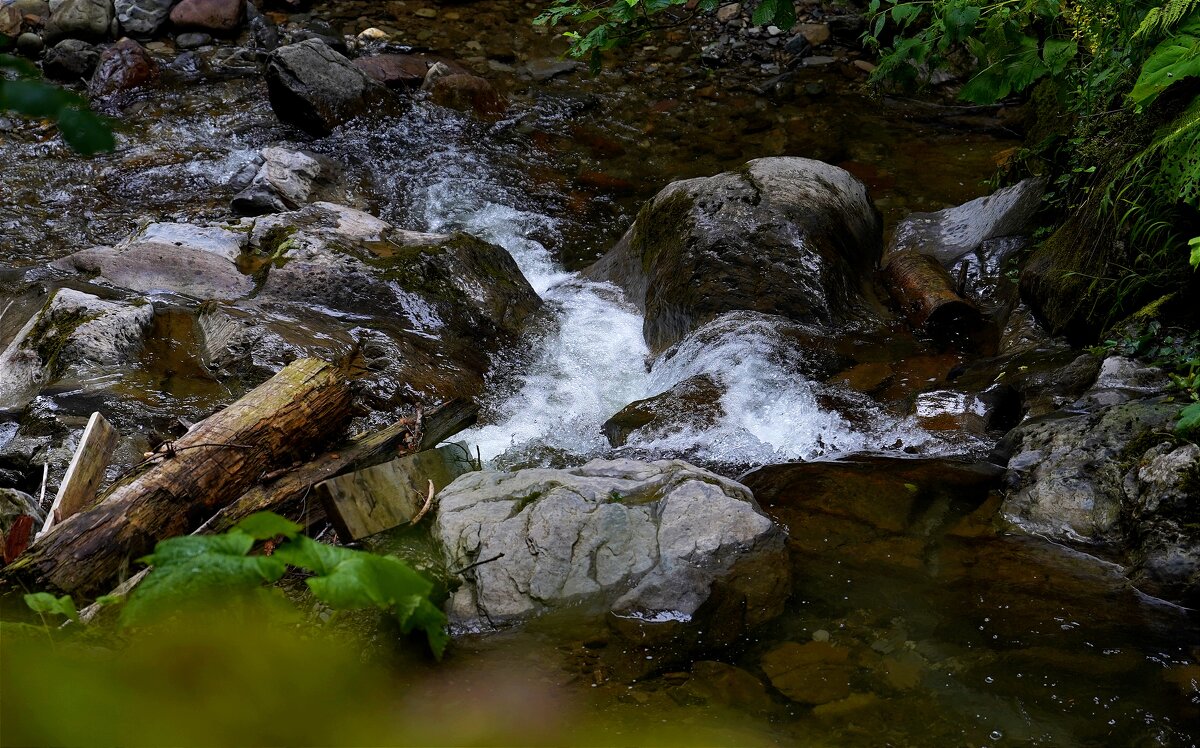 Бурный поток - Татьяна Тюменка