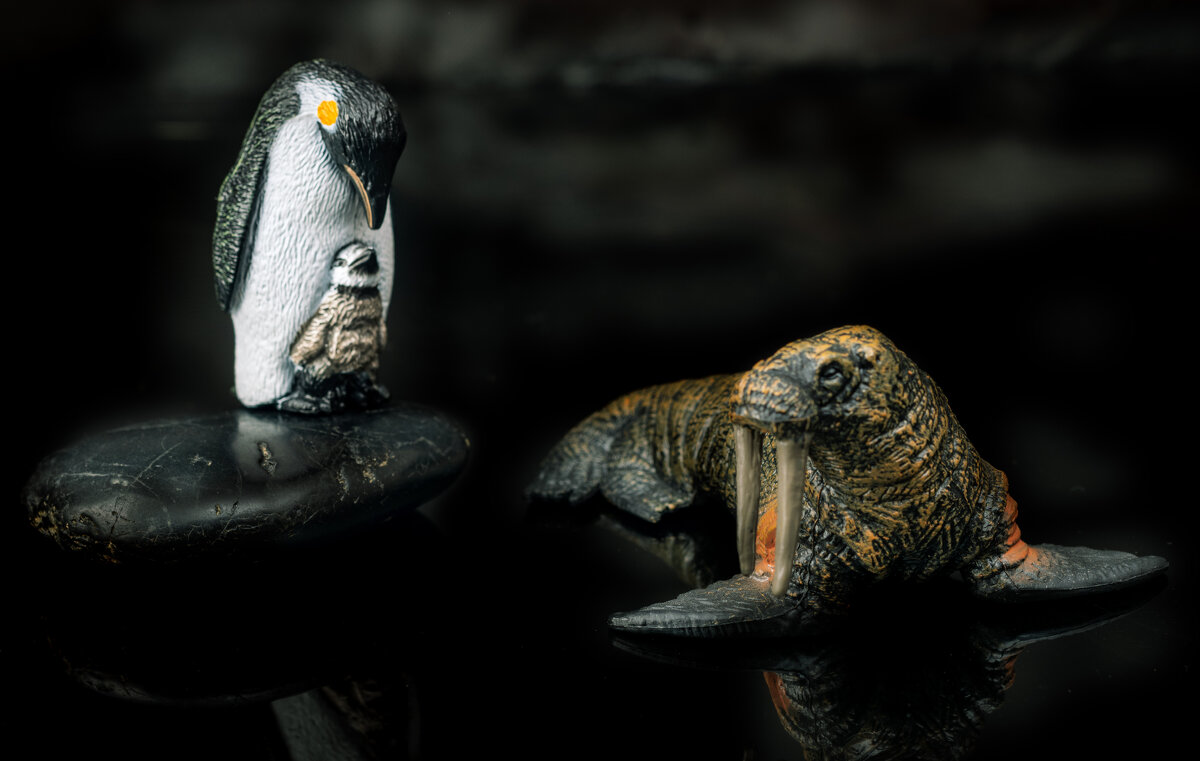 ... - владимир 