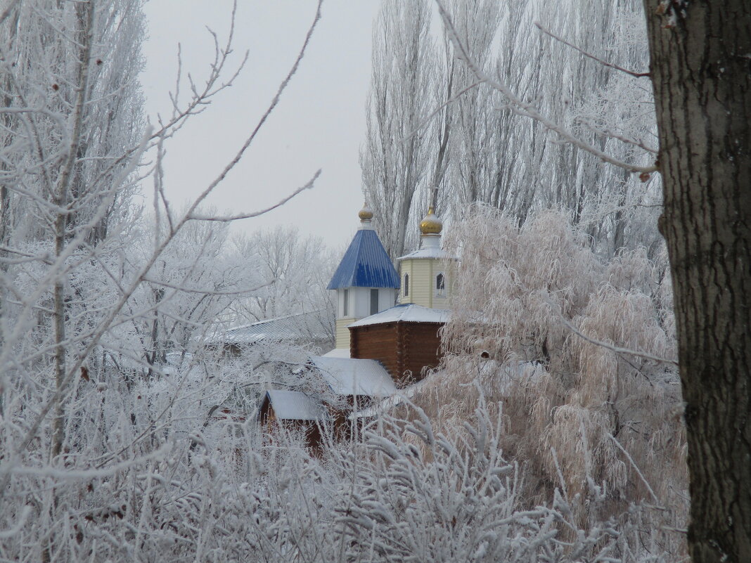 А вам зимы еще не хочется? )) - Надежда Борисенко