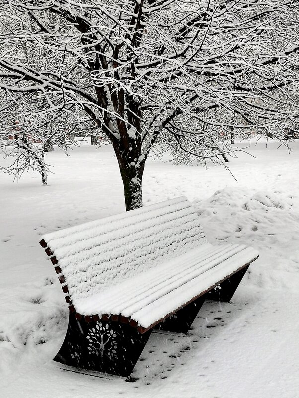 Выпал снег - Любимова Ольга 