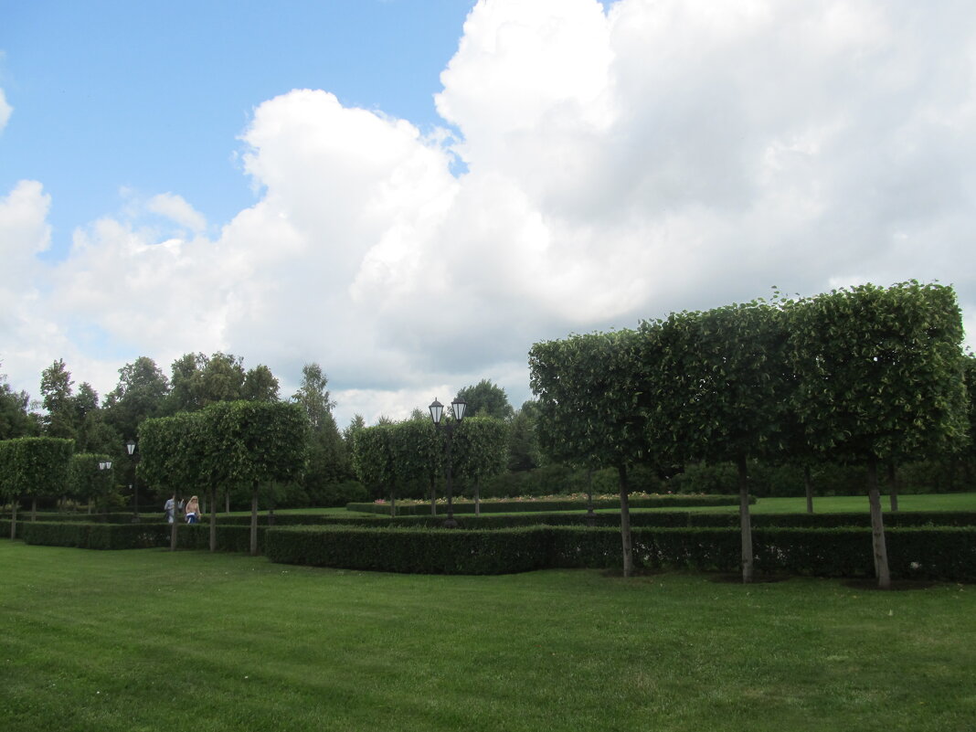 Рамонь - Елена Шаламова Рамонь - Елена Шаламова