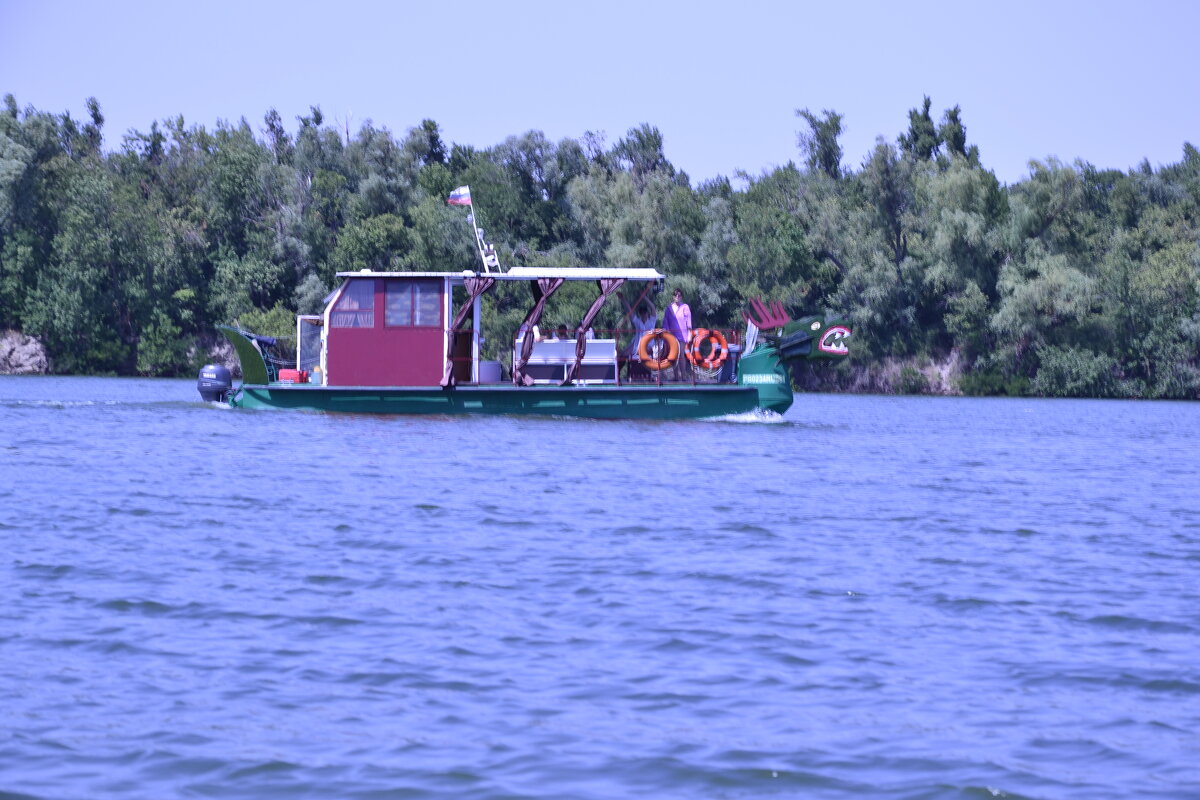 Дон. - Виктор 