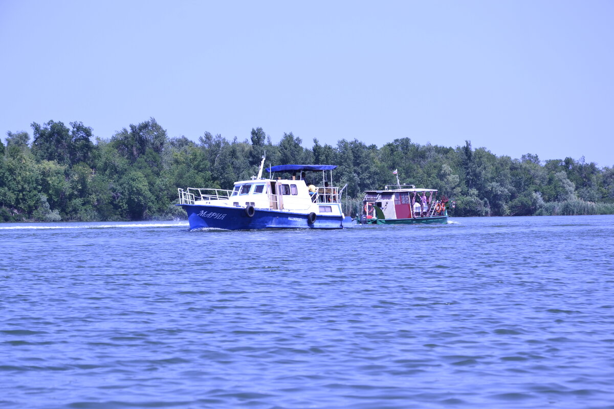 У Дона. - Виктор У Дона. - Виктор