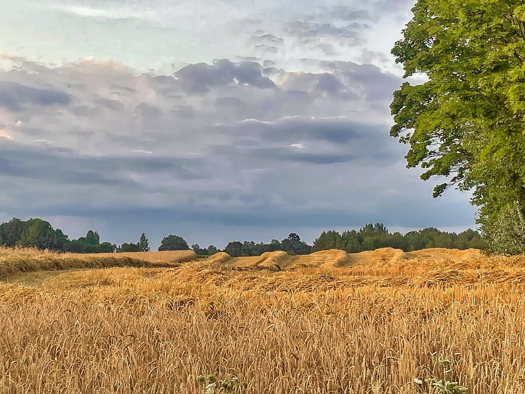 Summer 2025 1 - Arturs Ancans