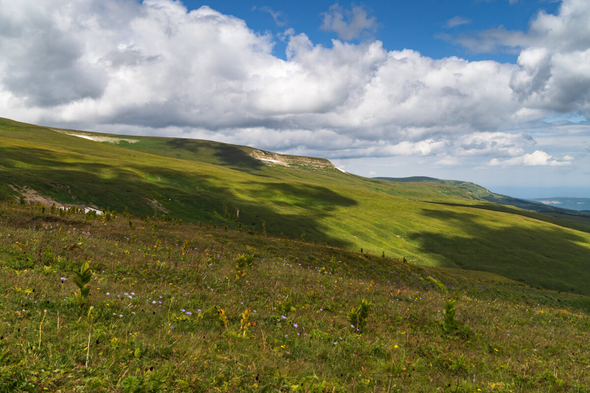 Лаго-Наки июль 2024 - Игорь Сикорский