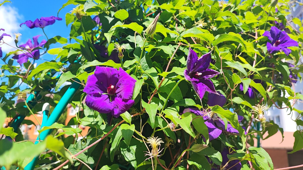 ,,, - Сергей Тимоновский