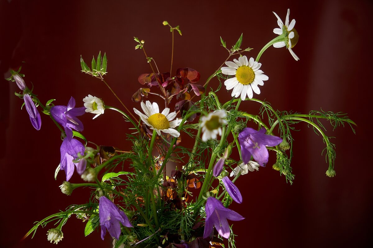 *** - Владимир *** - Владимир