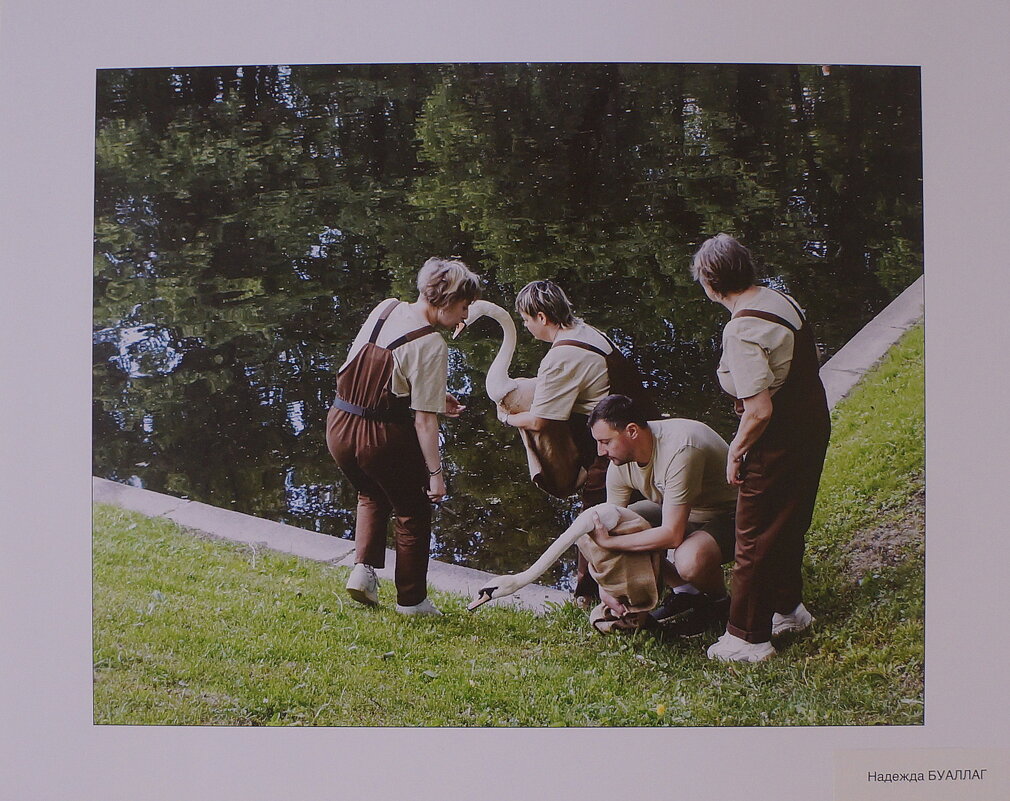 фотовыставка "Обитатели Летнего сада" - zavitok *