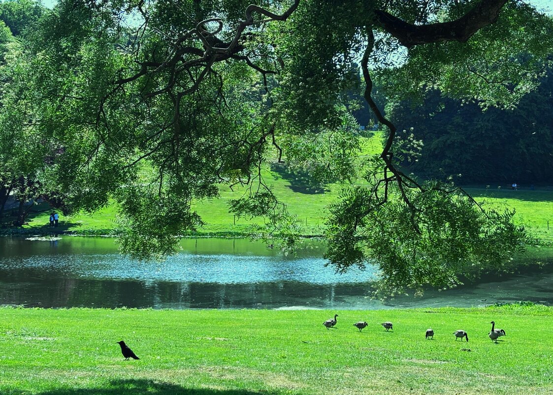 Солнечное утро на озере - Aida10 Солнечное утро на озере - Aida10