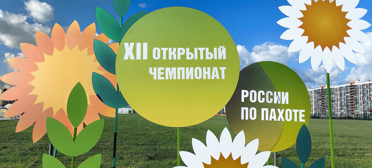 Эмблема фестиваля Российского сельскохозяйственного фестиваля - Стальбаум Юрий Эмблема фестиваля Российского сельскохозяйственного фестиваля - Стальбаум Юрий