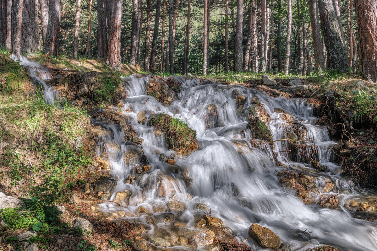 Лесные ручьи - Владимир Колесников