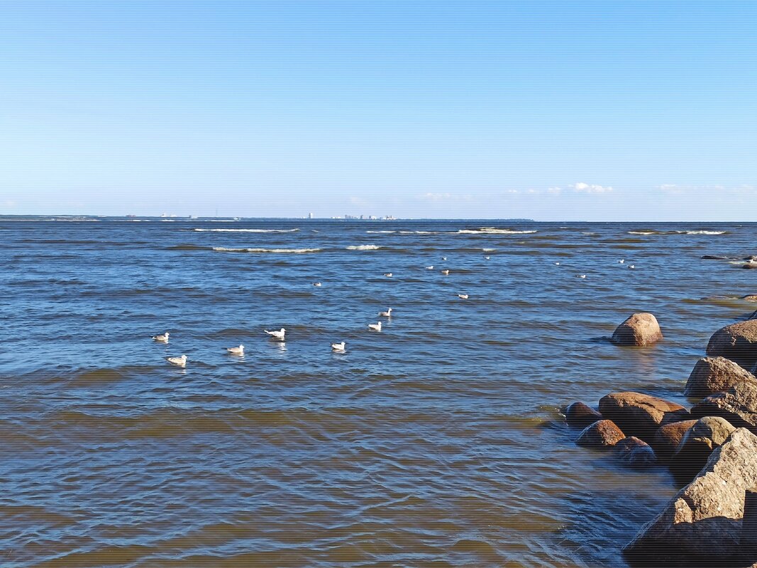 Финский залив в августе - Татьяна Осипова(Deni2048)