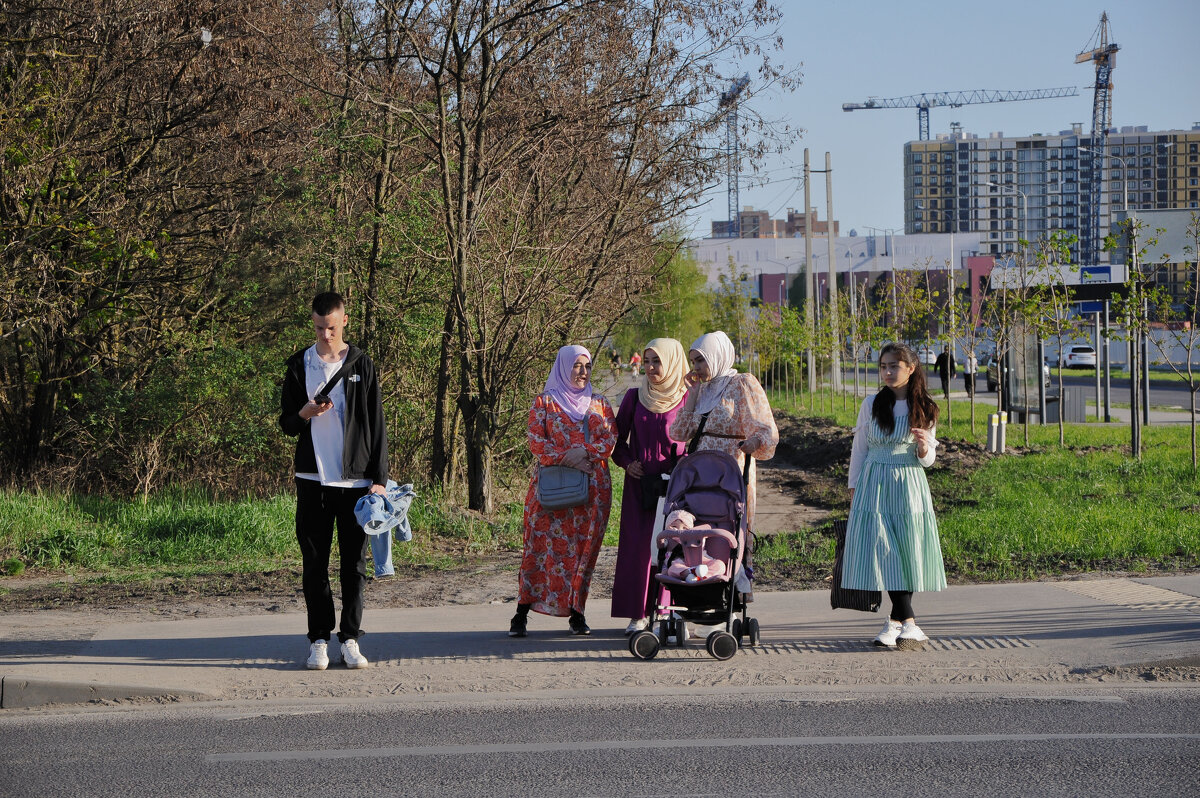 Будущие новосёлы - Татьяна Машошина