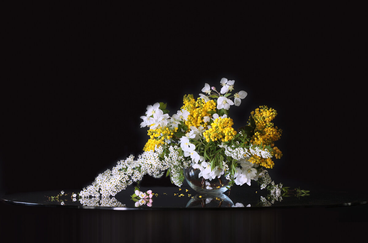 Весенняя зарисовка - Olenka 