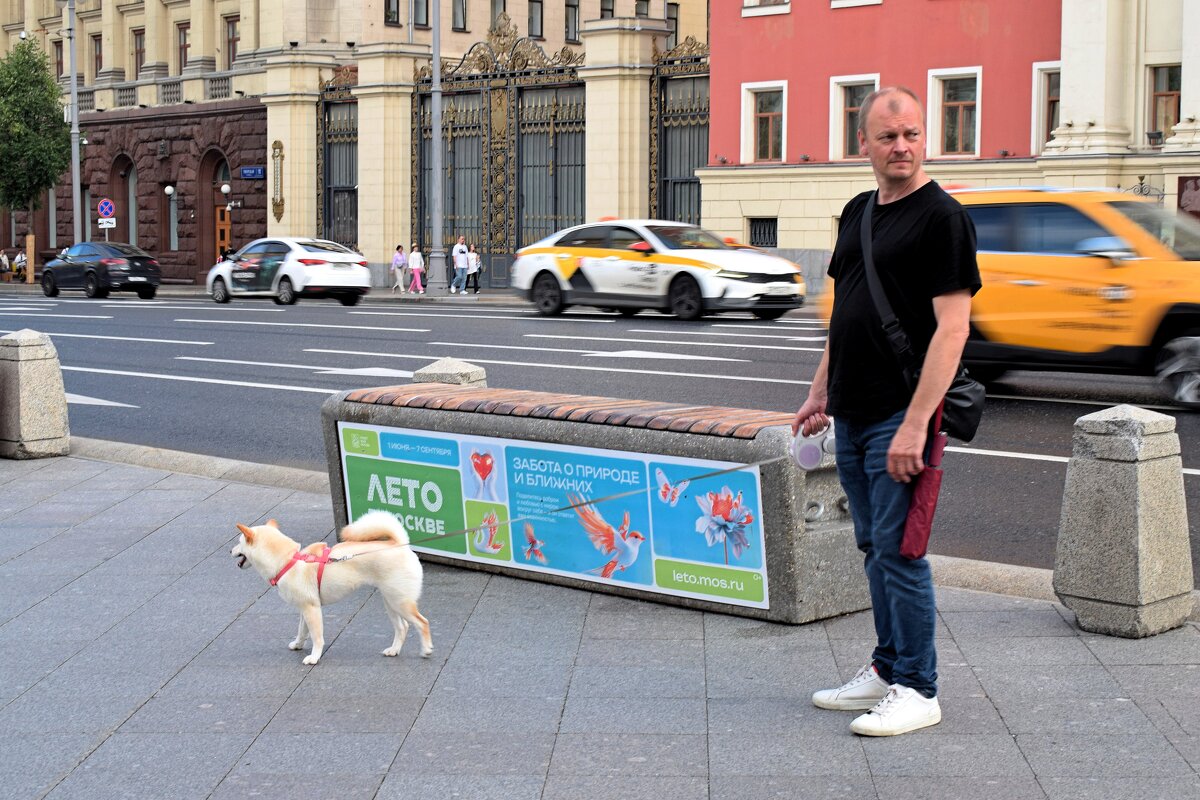 Растерялись, ни травки, ни кустика. - Татьяна Помогалова