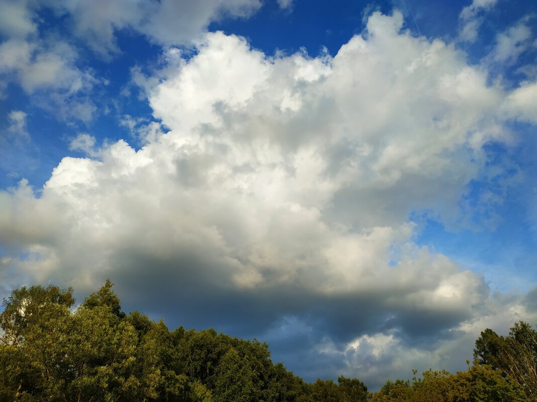 Облакастое (или тучное?) небо - Андрей Лукьянов