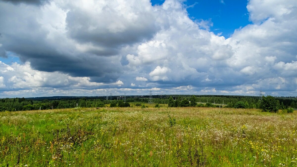 Картинка августа. - Милешкин Владимир Алексеевич 