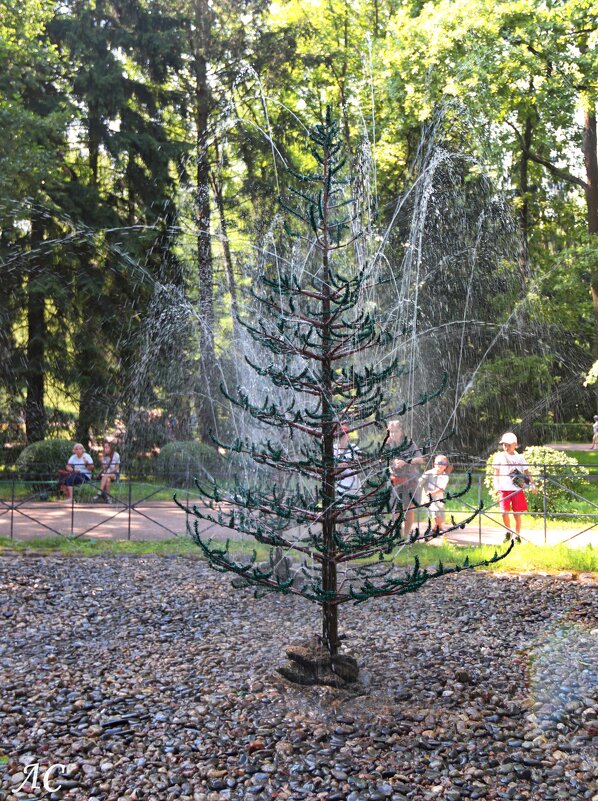 Фонтан «Ёлочка» в Петергофе - Любовь Сахарова Фонтан «Ёлочка» в Петергофе - Любовь Сахарова